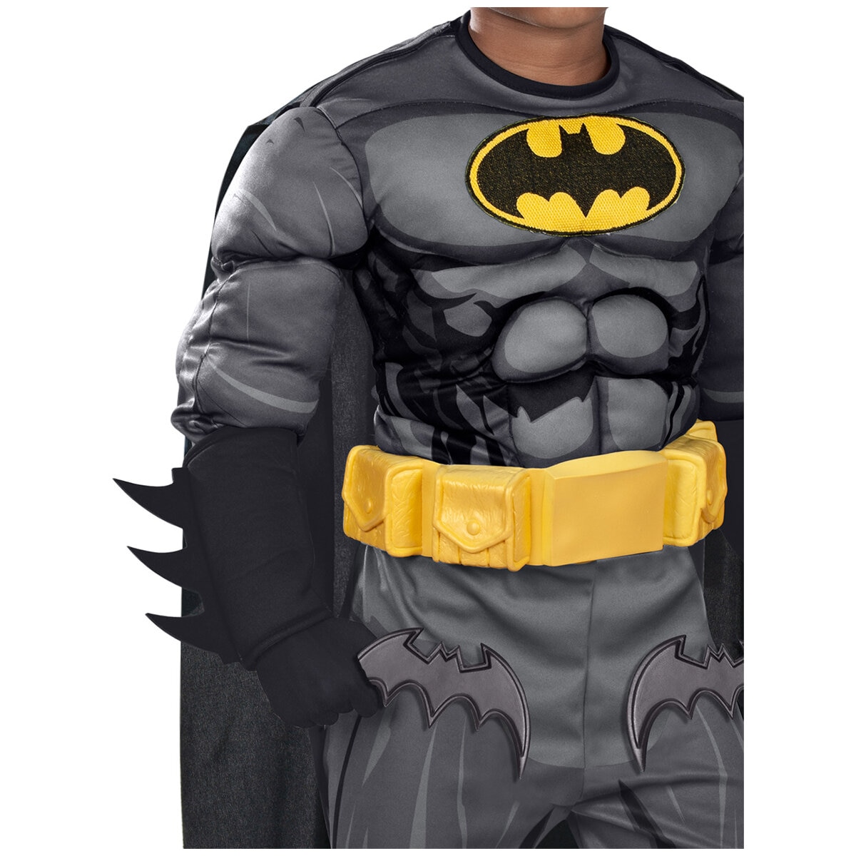Boys Licensed Costumes