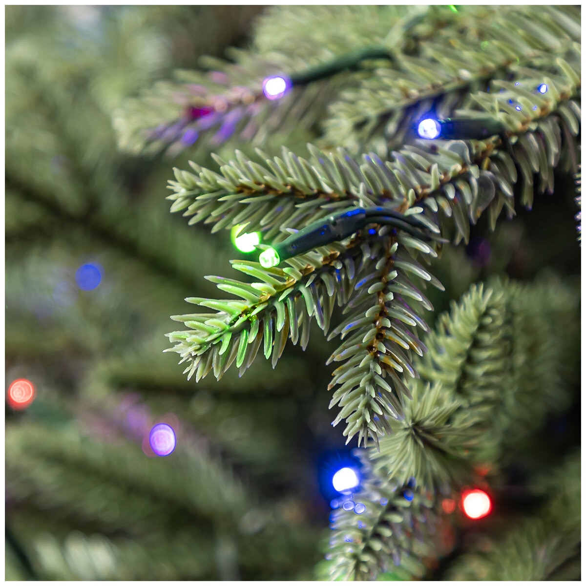 Pre-Lit Aspen Artificial Christmas Tree 3.66M