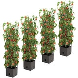 Greenlife 4 x Tomato Tower with 3 Tier Frame 25 x 25 x 120 cm