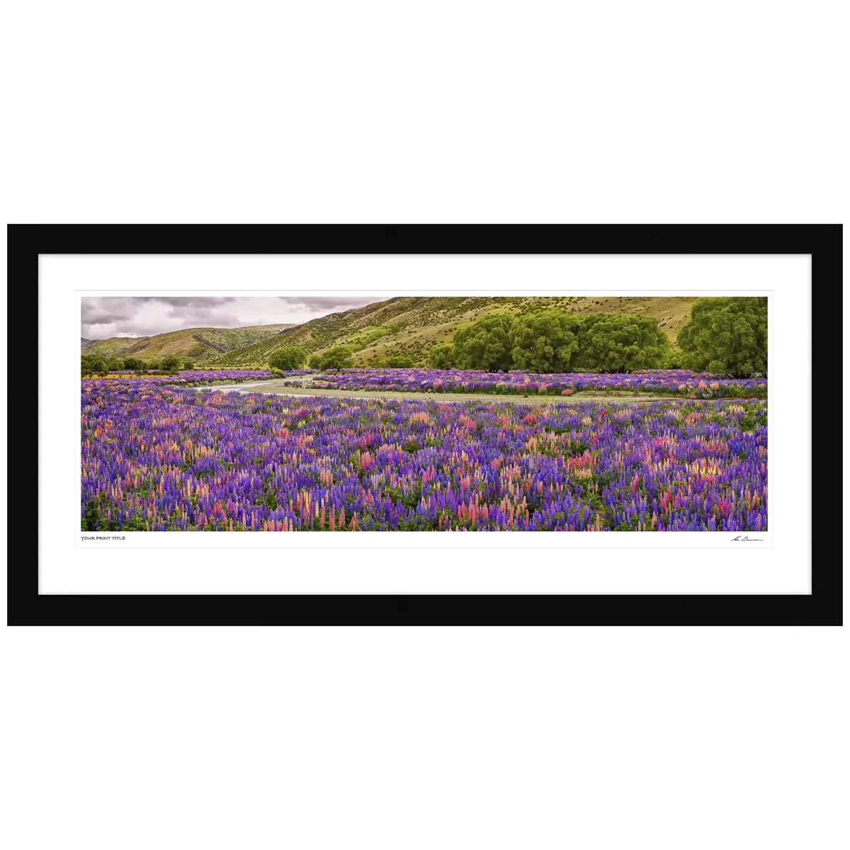 Ken Duncan Floral Canvas Black Framed Print 161 x 77.3 cm