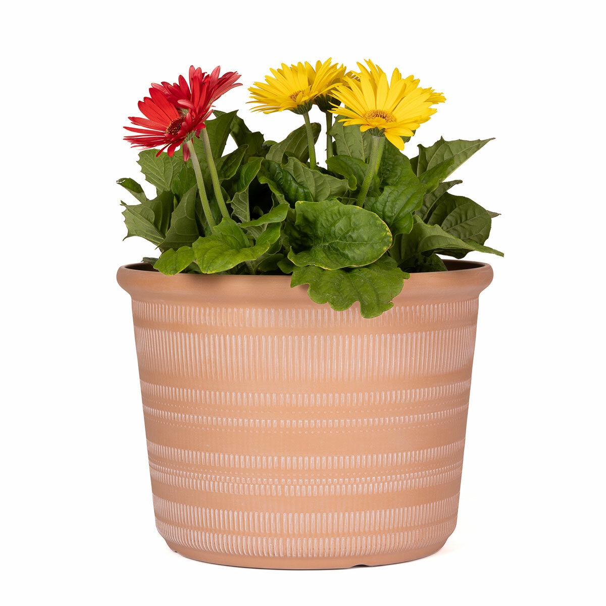 Forum Planters 3 Pack