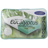 WAM Jason Scented Memory Foam Pillow - Eucalyptus
