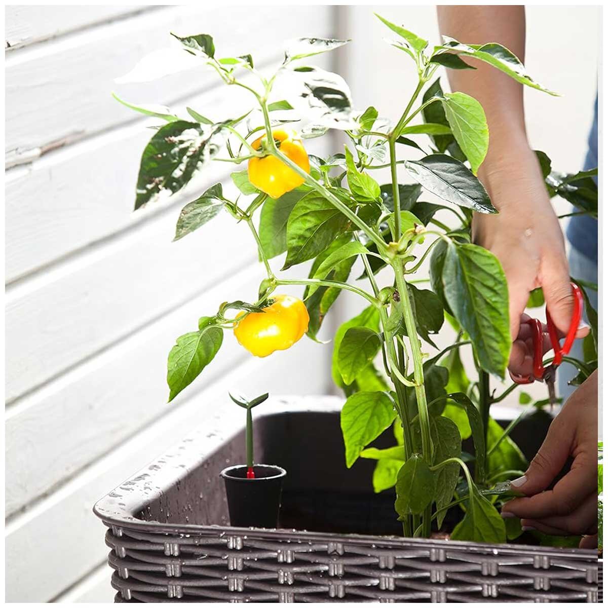 Keter Easy Grow Planter Brown