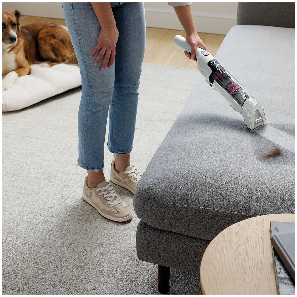 Shark Stainforce Cordless Spot Cleaner HX100ANZ Shark Stainforce Cordless Spot Cleaner HX100ANZ