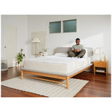 Koala Calm As Queen Mattress