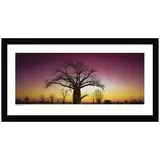 Ken Duncan Kimberley Boab WA Black Framed Print 161 x 85.8 cm