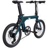 Fiido X Electric Bike