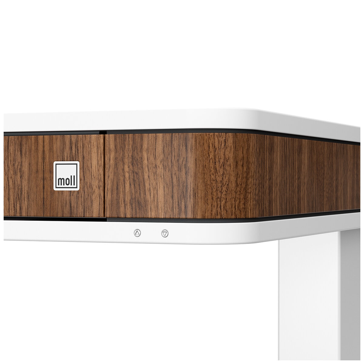 Moll T7 Walnut Sit and Stand Desk, WhiteWalnut