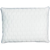 carpenter isotonic memory foam pillow