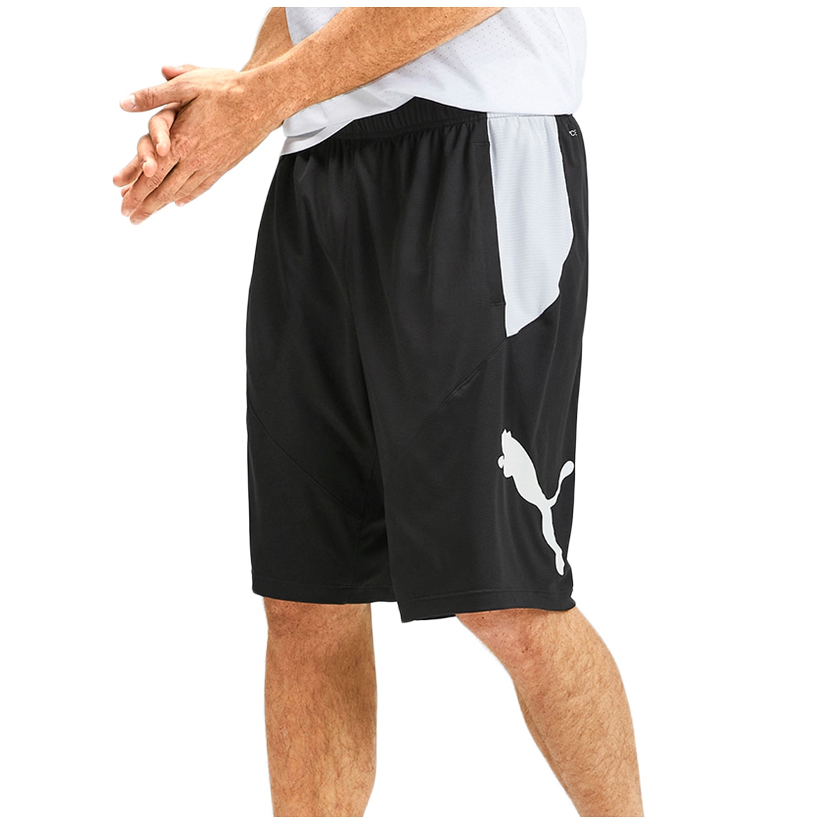 Puma shorts costco shop