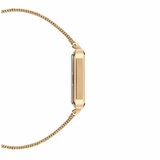 Daniel Wellington Quadro White Dial Evergold Strap Women's Watch DW00100556 Daniel Wellington Quadro White Dial Evergold Strap Women's Watch DW00100556