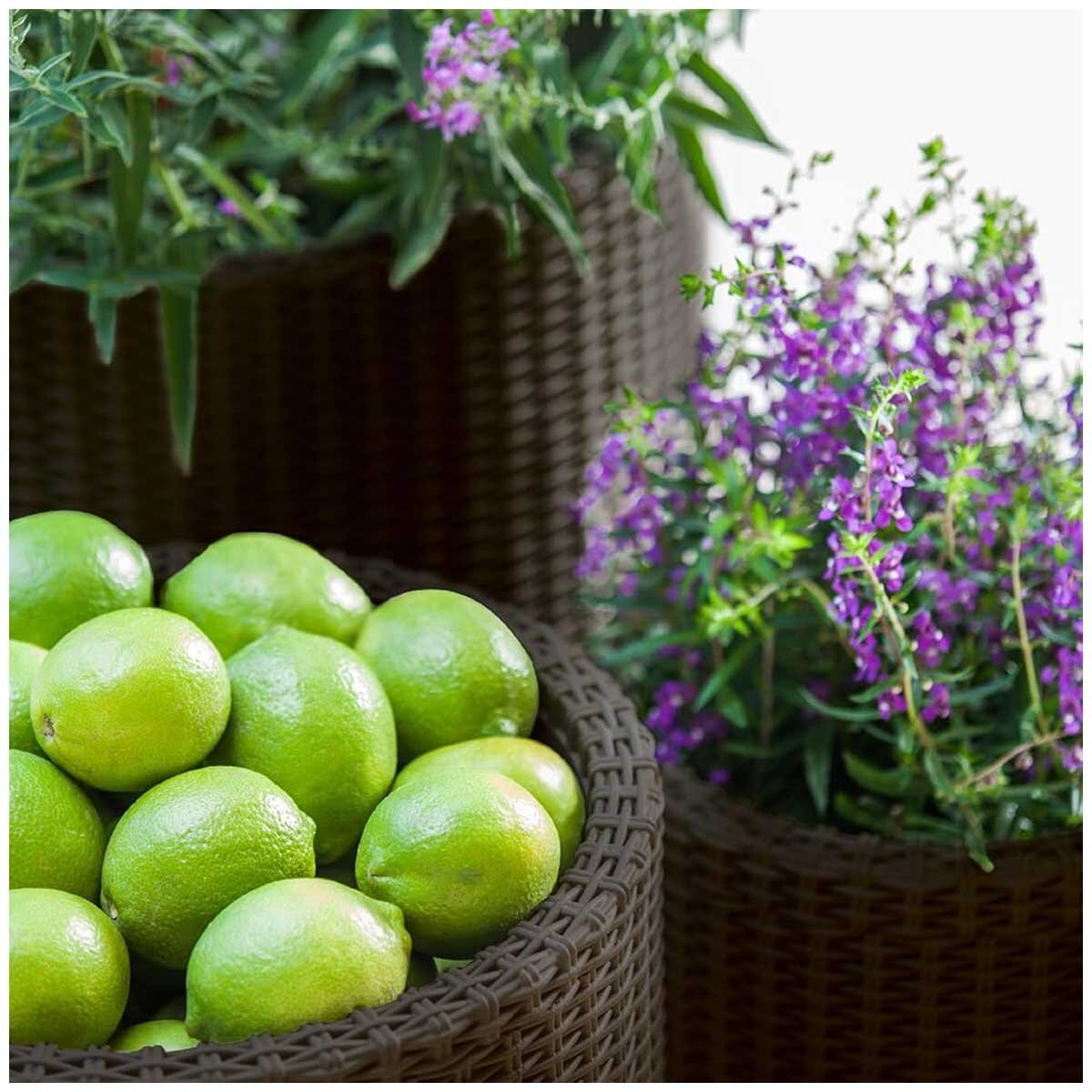 Keter Cylinder Planter Set 3 Piece Dark Brown
