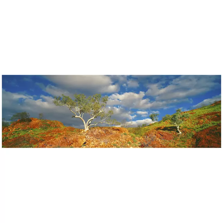 Ken Duncan 50 Inch Snappy Gums, Marble Bar, WA Framed Print Ken Duncan 50 Inch Snappy Gums, Marble Bar, WA Framed Print