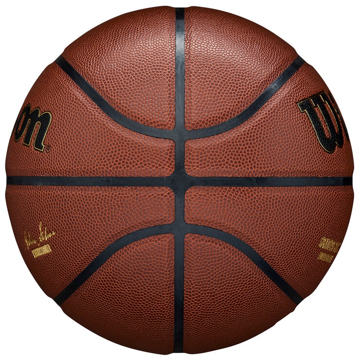 Wilson NBA Alliance Signature Basketball