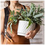 over&back Set Of 2 Honeycomb Ceramic Planters White Blue over&back Set Of 2 Honeycomb Ceramic Planters White Blue