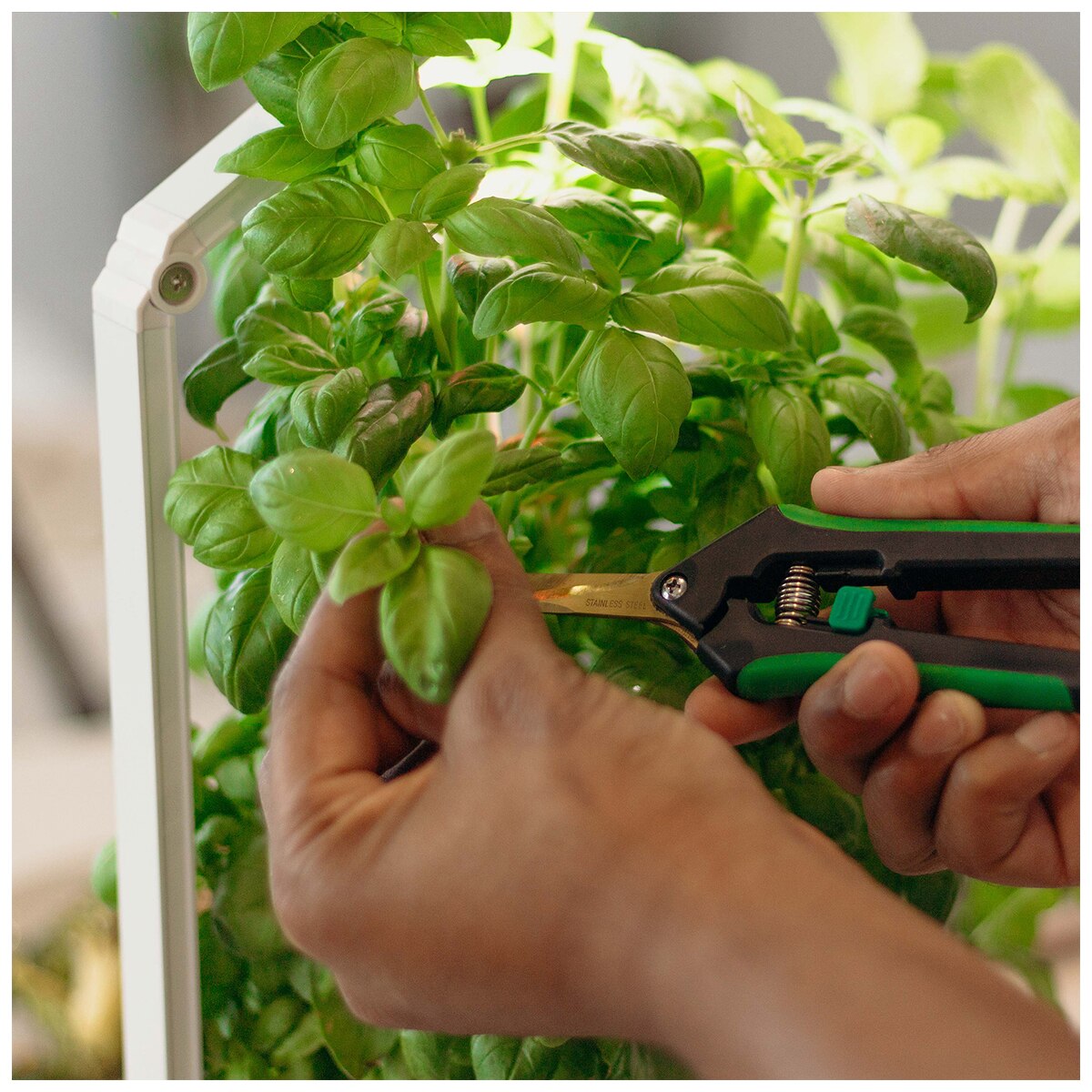 Indoor Smart Garden AUSGCKININDOORSMARTGARDEN Costco