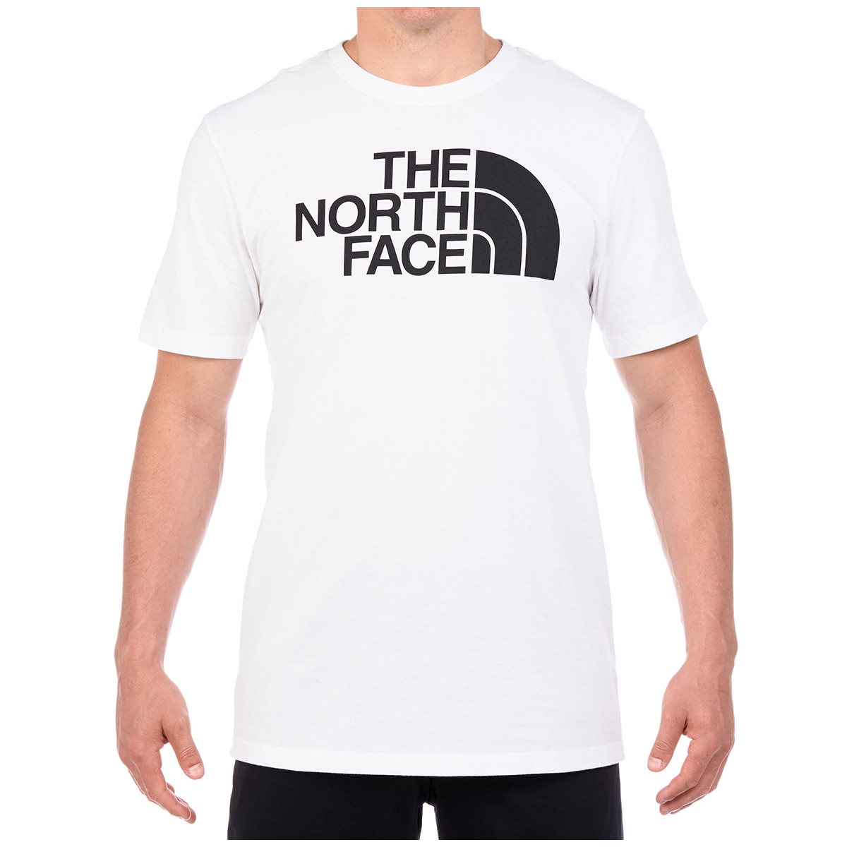 North face Half dome Tee - White