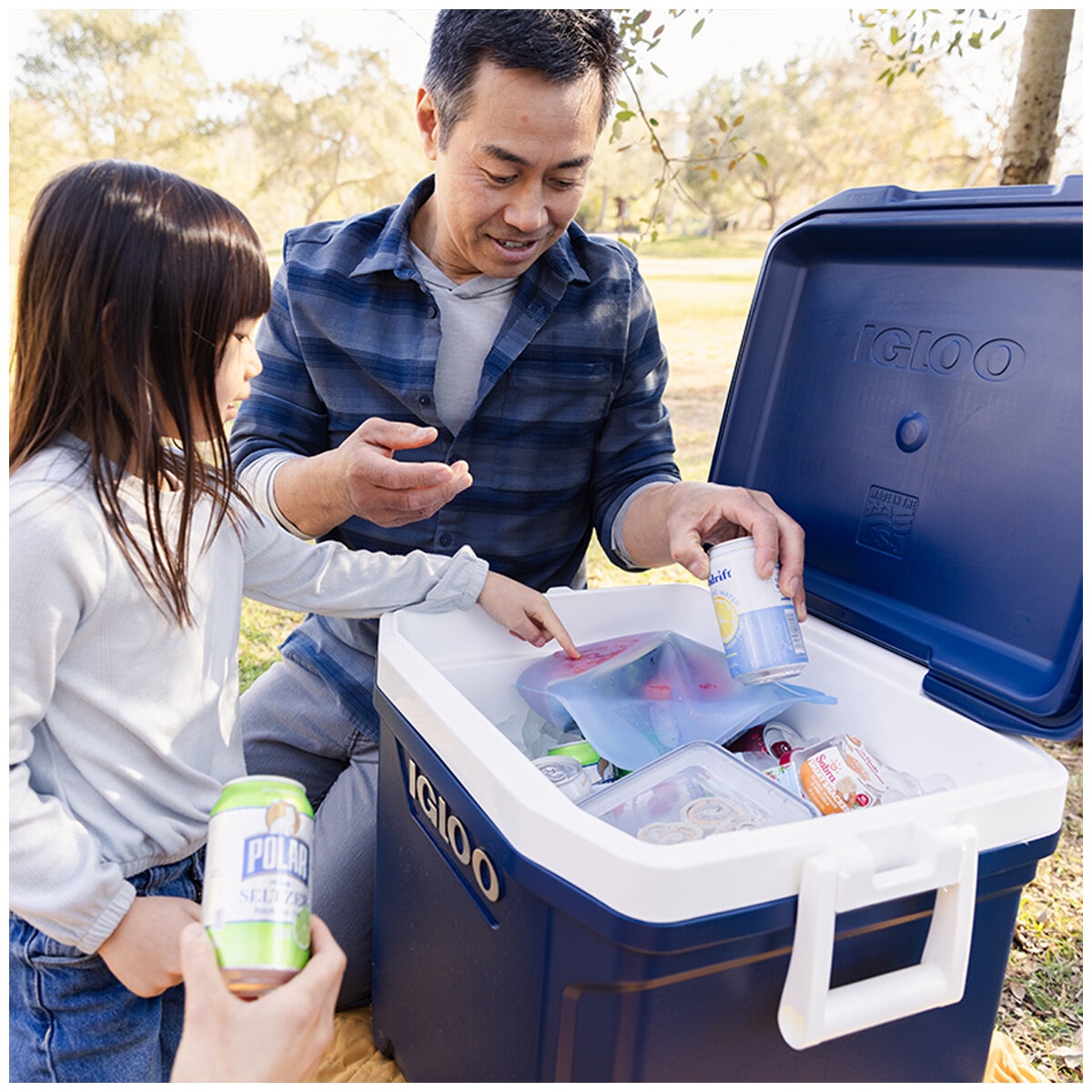 Igloo 62QT Maxcold