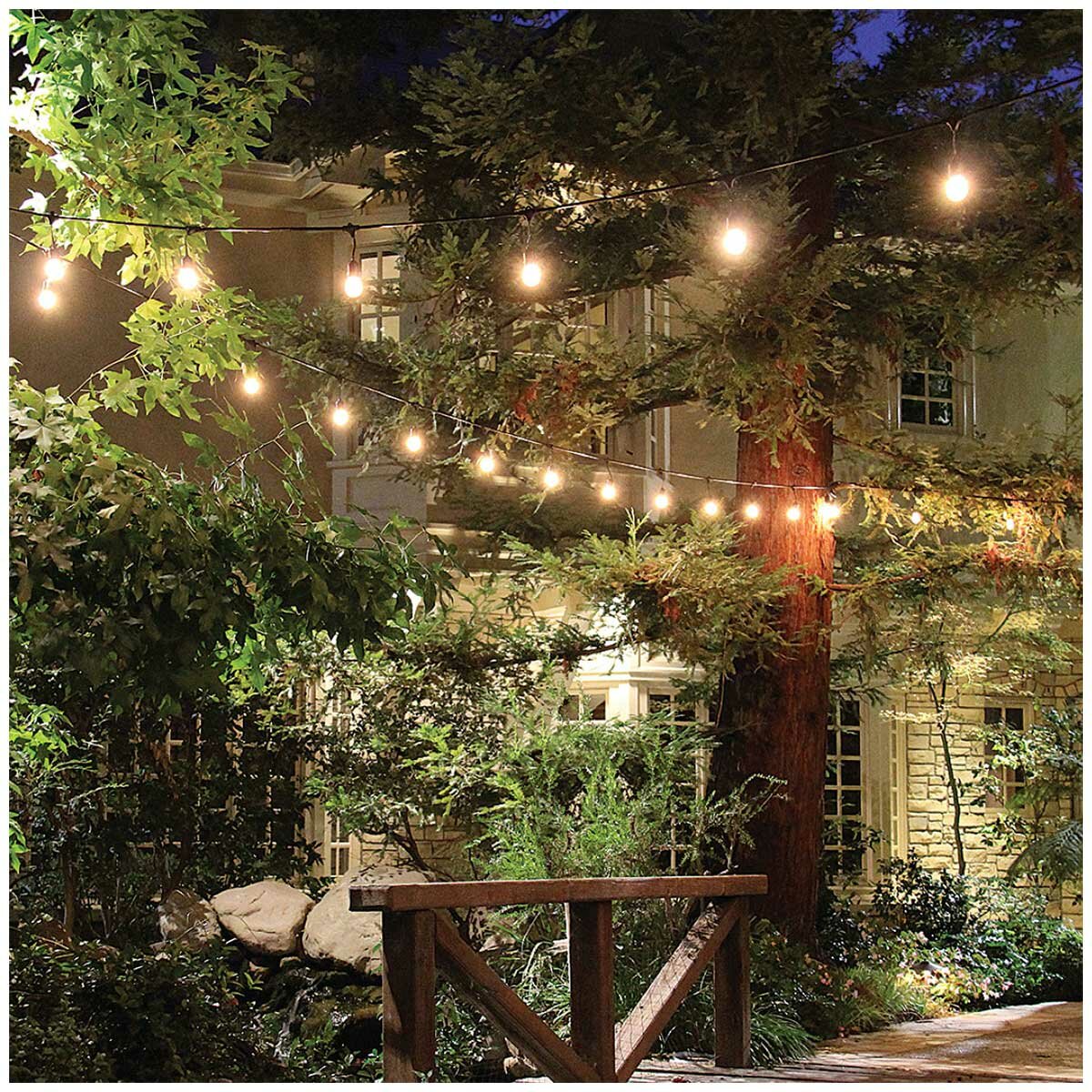 Feit Electric 14.6M LED Filament String Light Set Feit Electric 14.6M LED Filament String Light Set