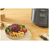 Tefal Induction Rice Master and Slow Cooker RK818 10 Cups