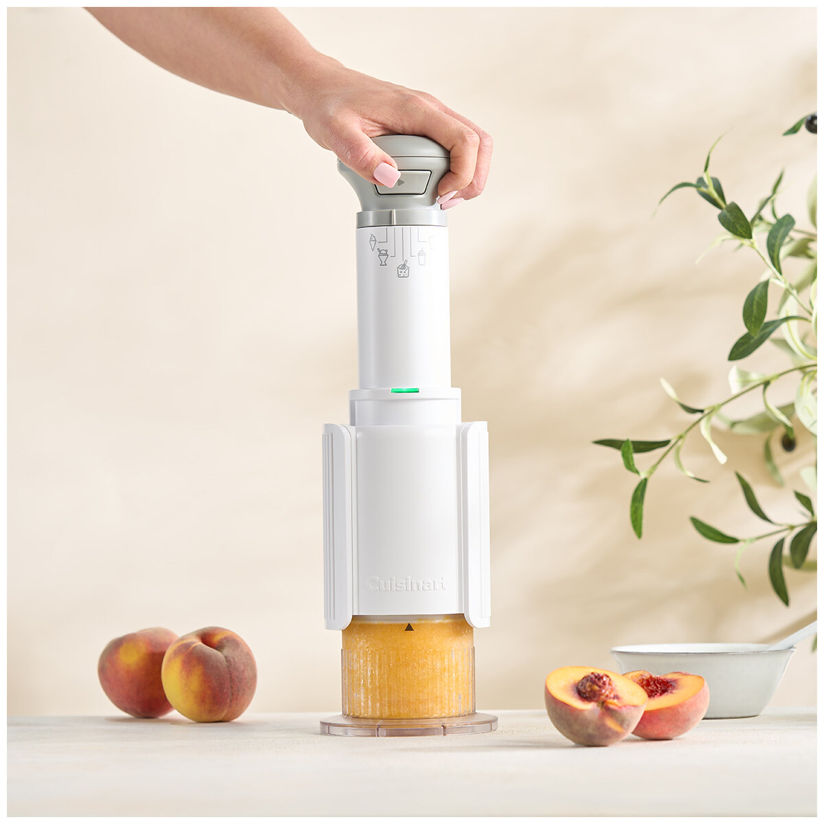 Cuisinart Freeze Wand ICE-FD10XA