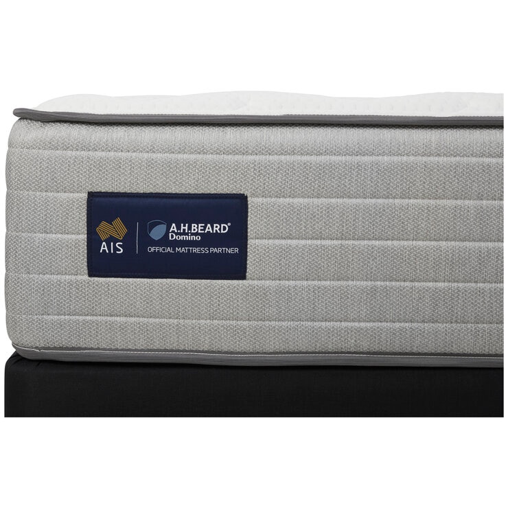 Domino Lachlan Queen Mattress Firm