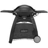 Weber Family Q3100 Titanium