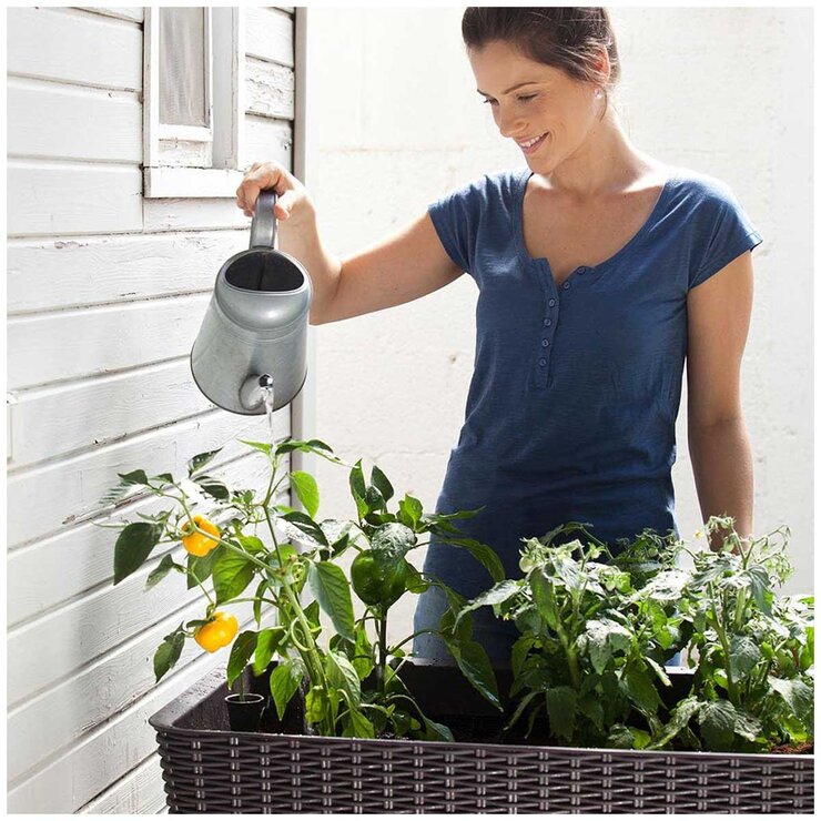 Keter Easy Grow Planter Brown Keter Easy Grow Planter Brown