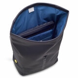 Delsey Turenne Rolltop Backpack