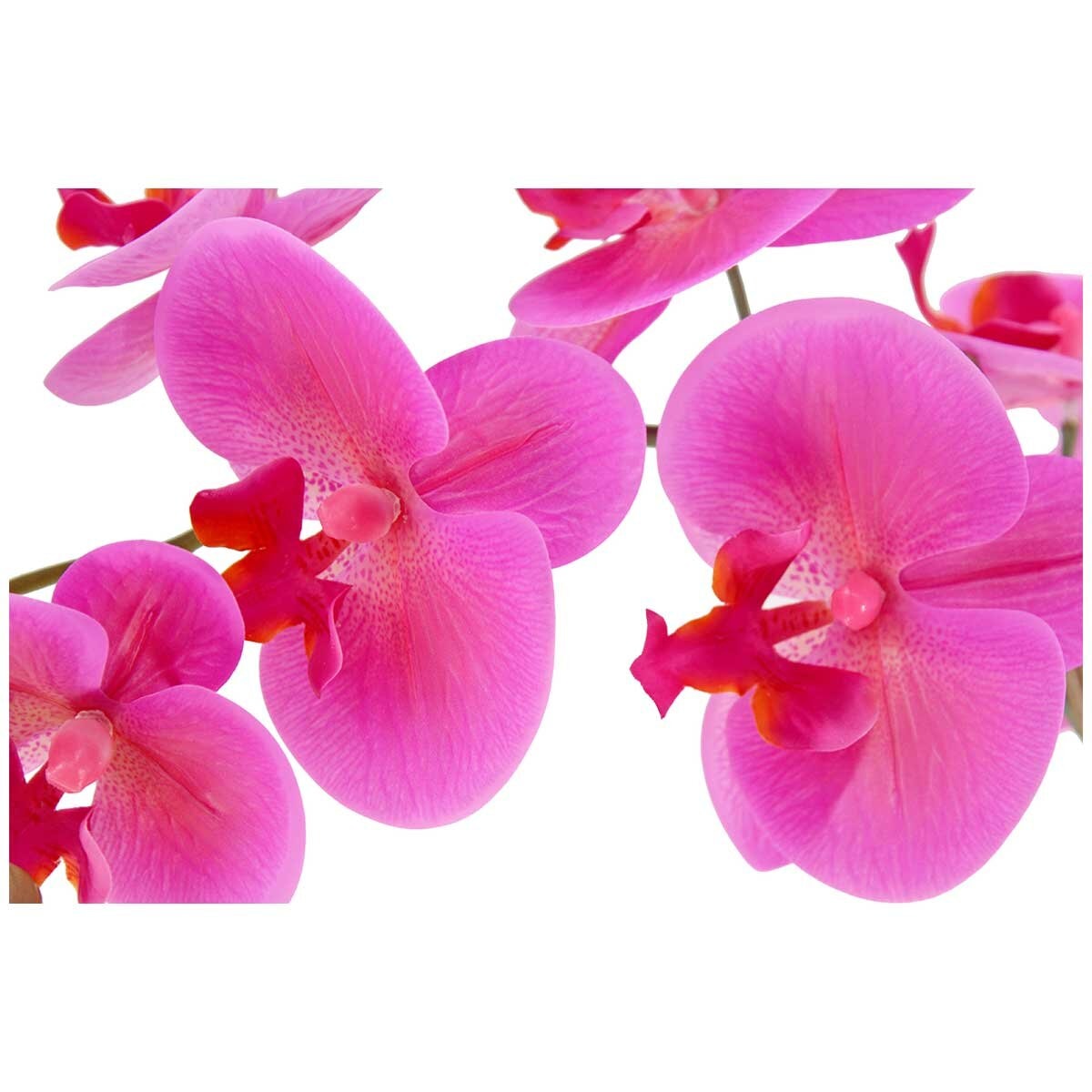 CGH Phalaenopsis Orchid Arrangement Pink 1.2M