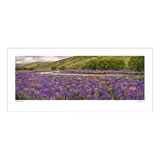 Ken Duncan Floral Canvas White Framed Print 161 x 77.3 cm