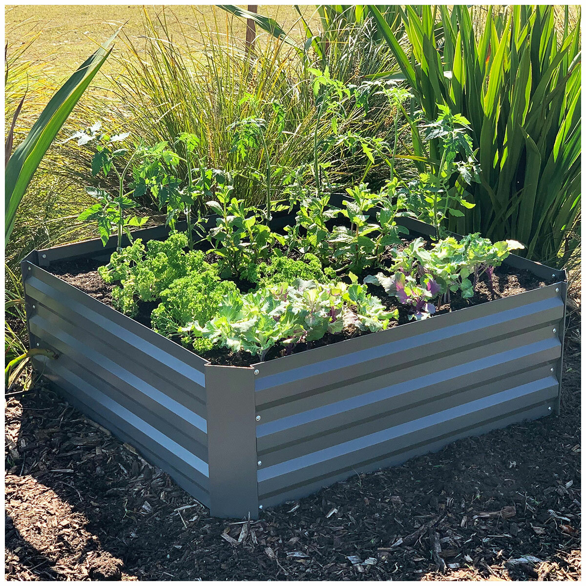 Greenlife Raised Garden Bed 1000L x 1000W x 300H - 2 Pack