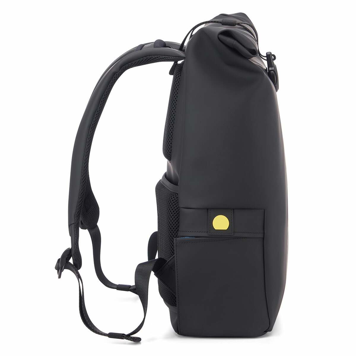 Delsey Turenne Rolltop Backpack