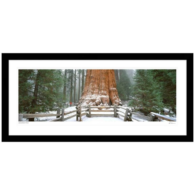 Ken Duncan Gen. Sherman Tree, Sequoia N.P Framed Print 127.6 x 60.9cm