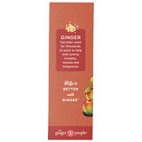 Gin Gins Spicy Apple Ginger Chew 500g