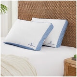 Tommy Bahama Collossal 2 pack Pillows