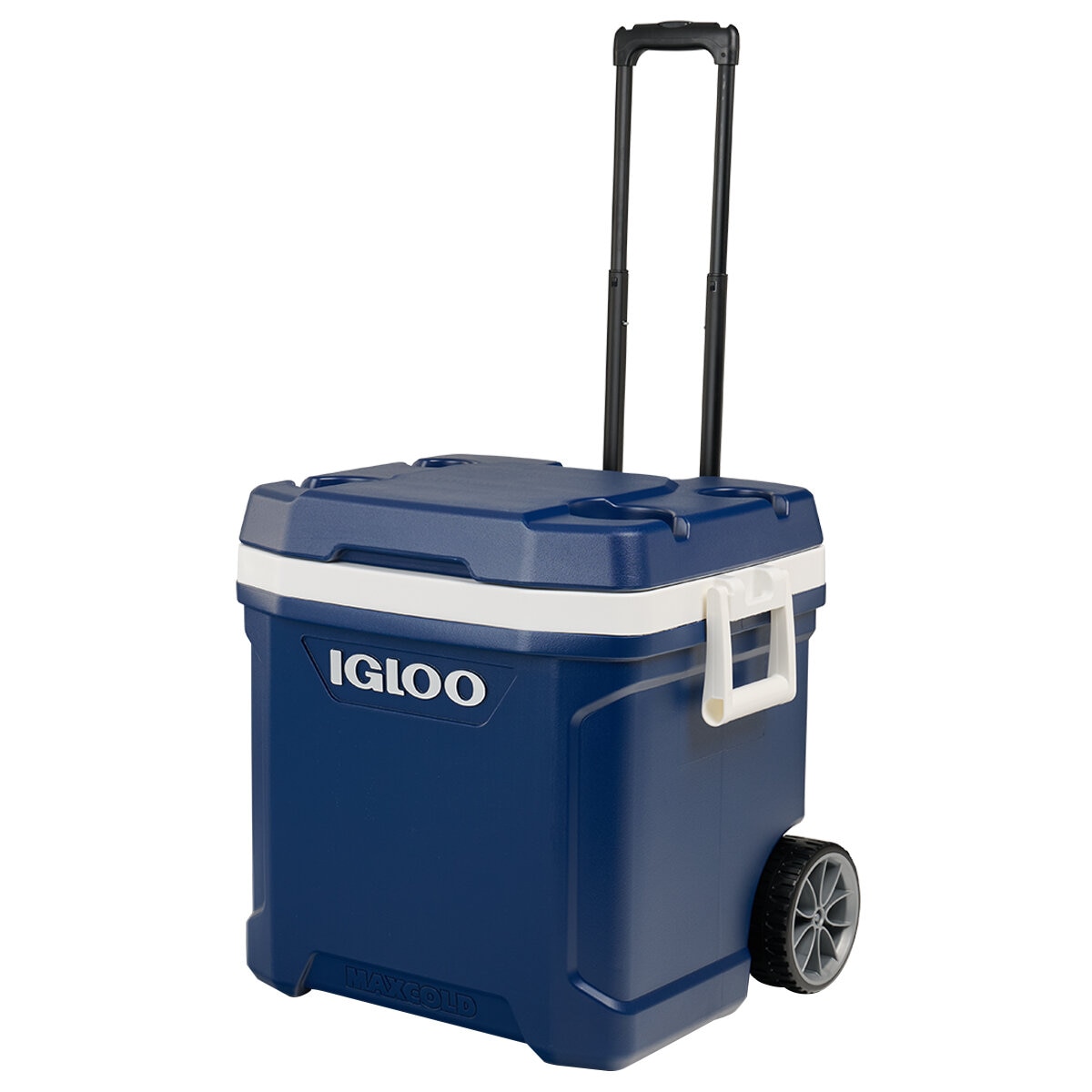 Igloo 62QT Maxcold
