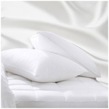 Kingtex Mulberry Silk Pillows 48x74cm Twin pack White Medium