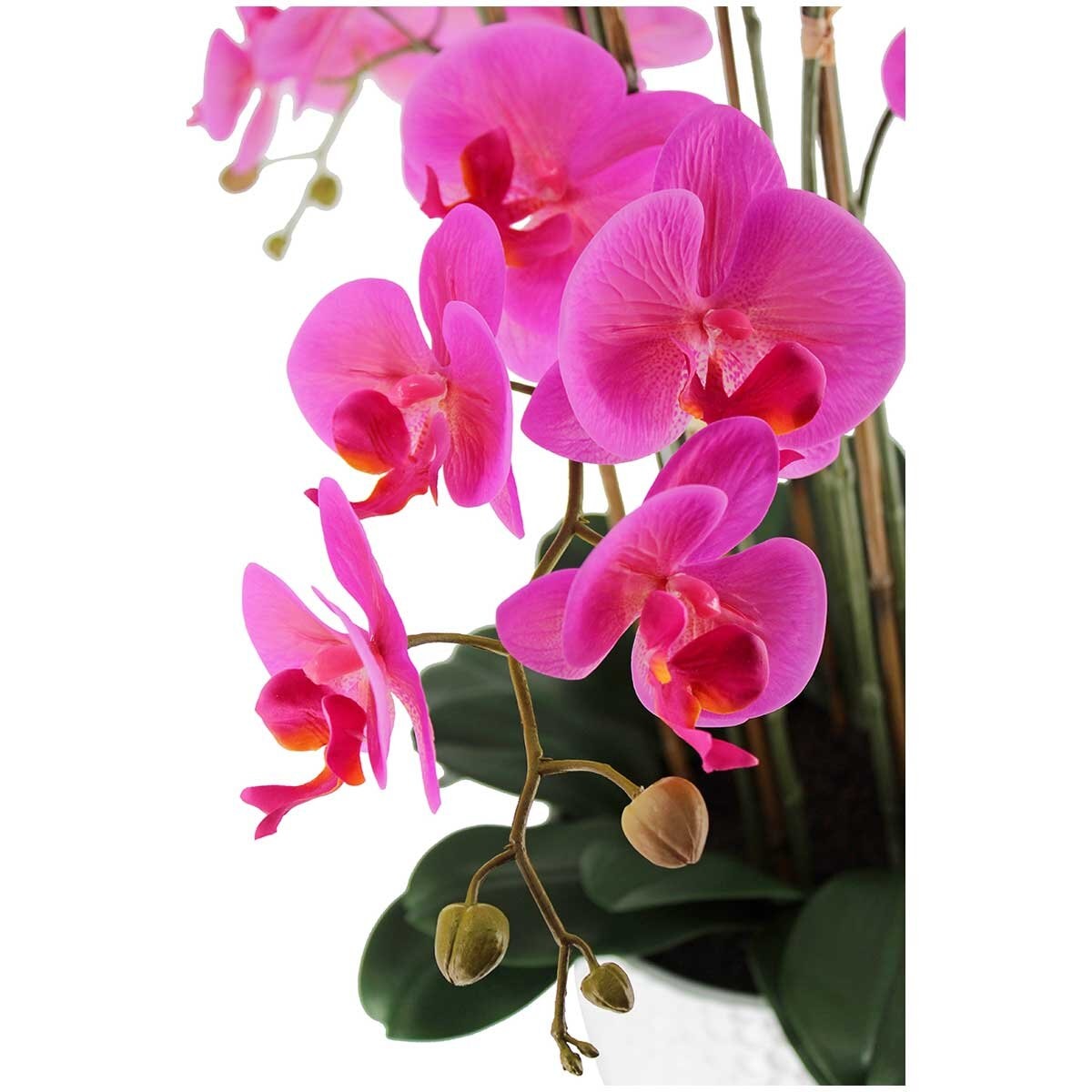 CGH Phalaenopsis Orchid Arrangement Pink 1.2M