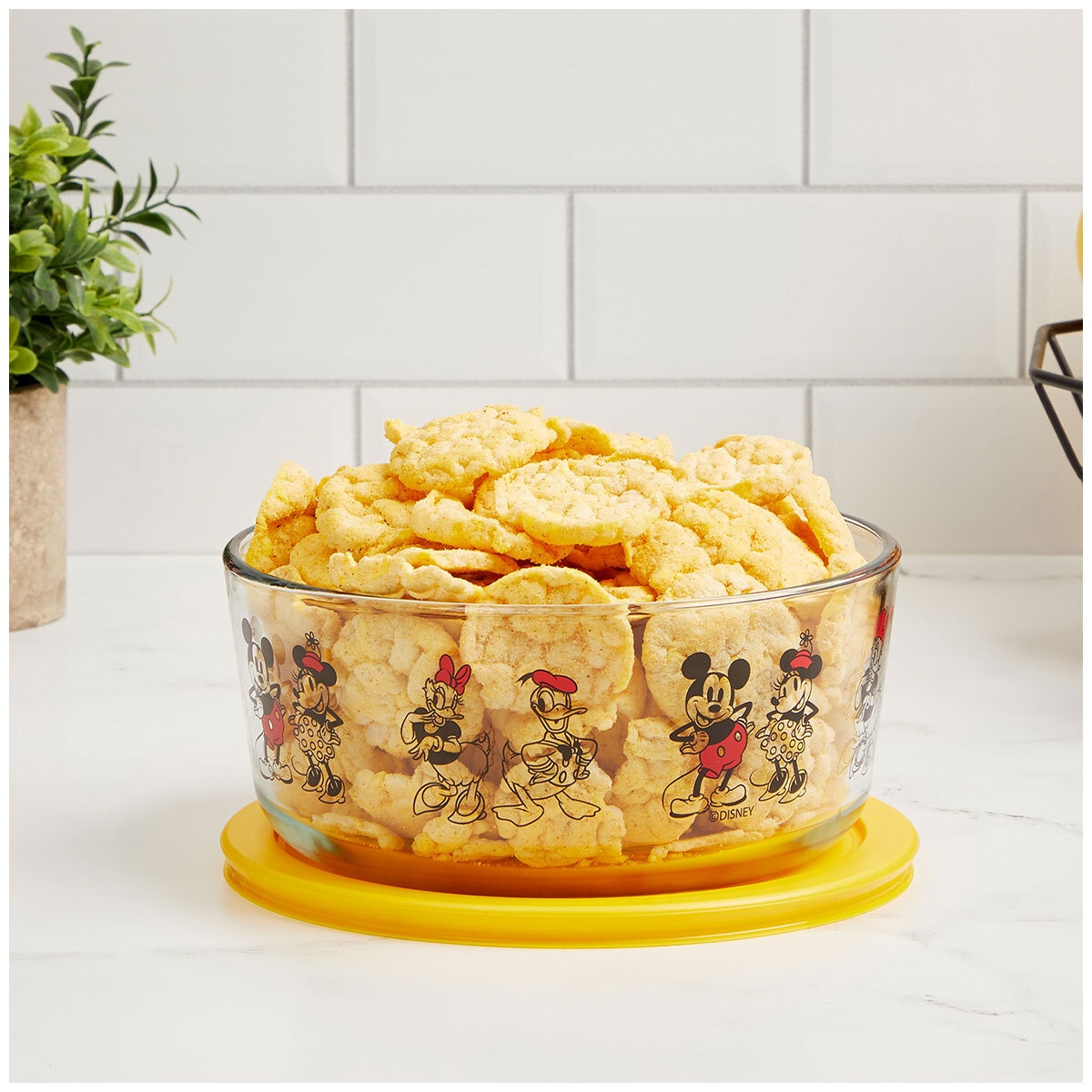 Mickey Mouse and Friends