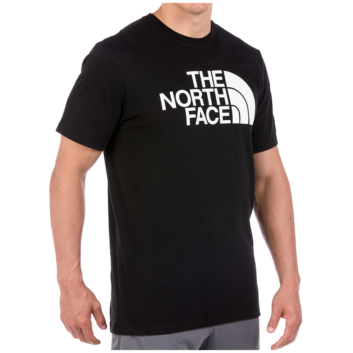 North face Half dome Tee - Black