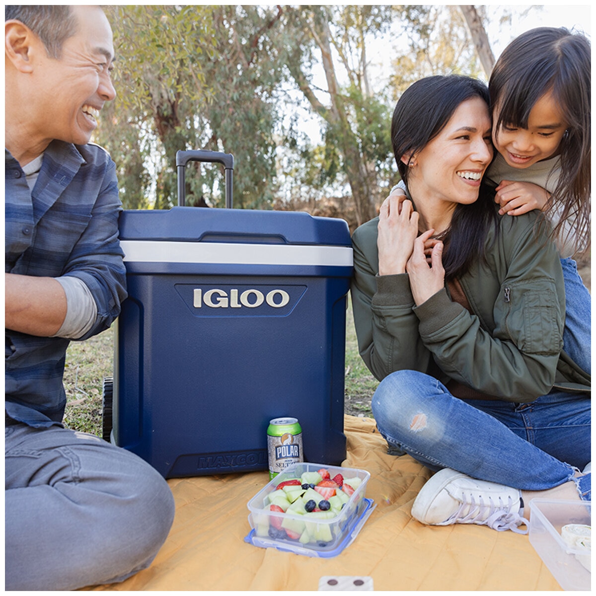 Igloo 62QT Maxcold