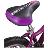 Schwinn Breaker Disc 24 Inch Girls Bike