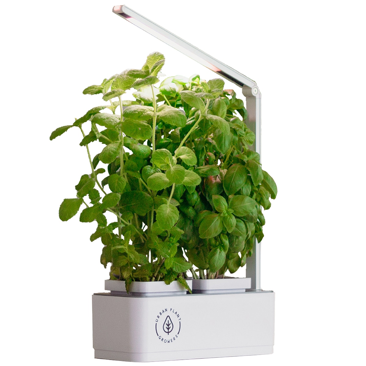 How To Start A Hydroponic Garden Eminetra Canada
