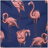 Coast Men's Swim Short - Pink Flamingo