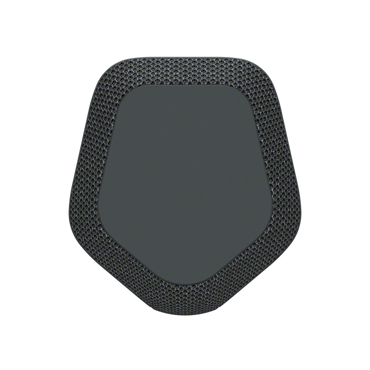 Sony XE300 X-Series Portable Wireless Speaker Black SRSXE300B