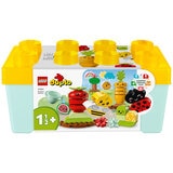 LEGO Duplo Organic Garden 10984