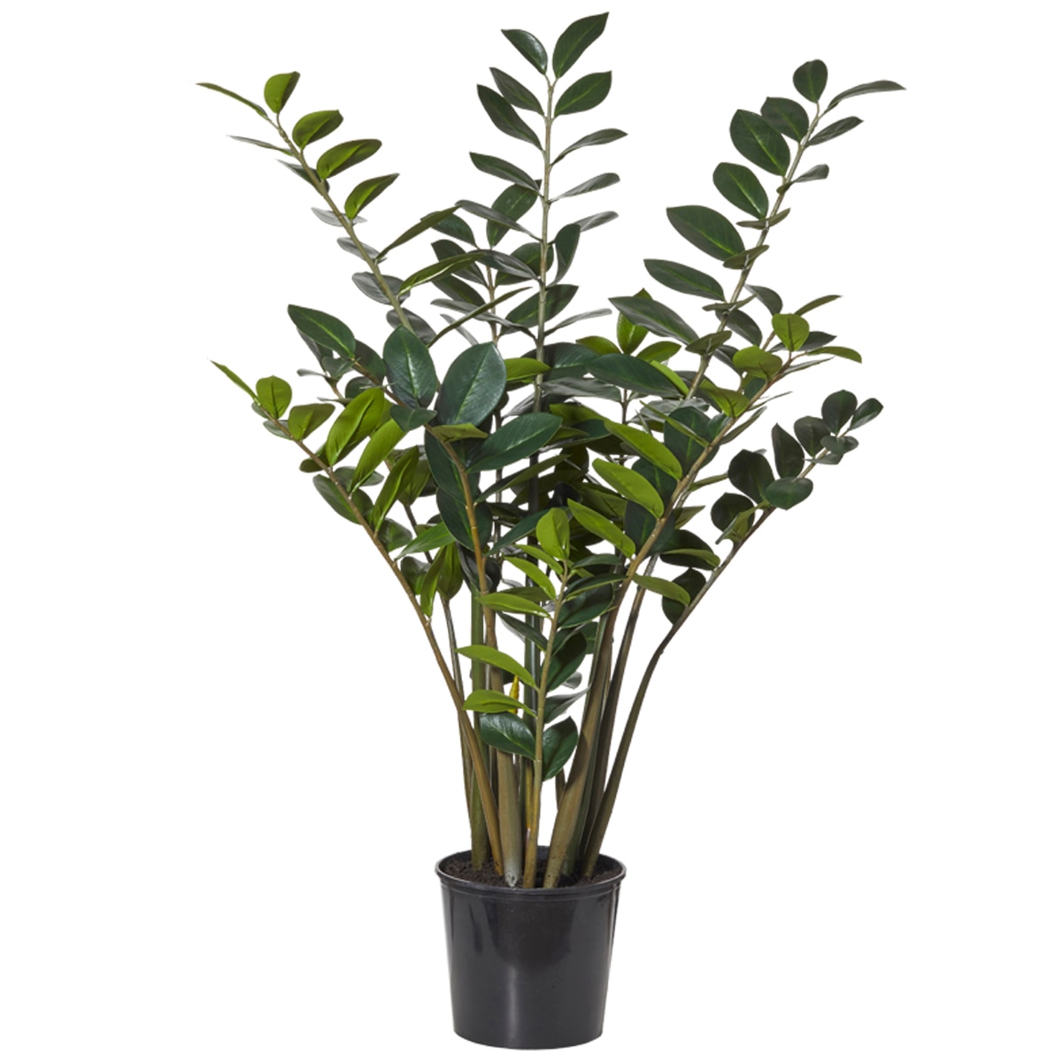 Rogue Zanzibar Gem Garden Pot