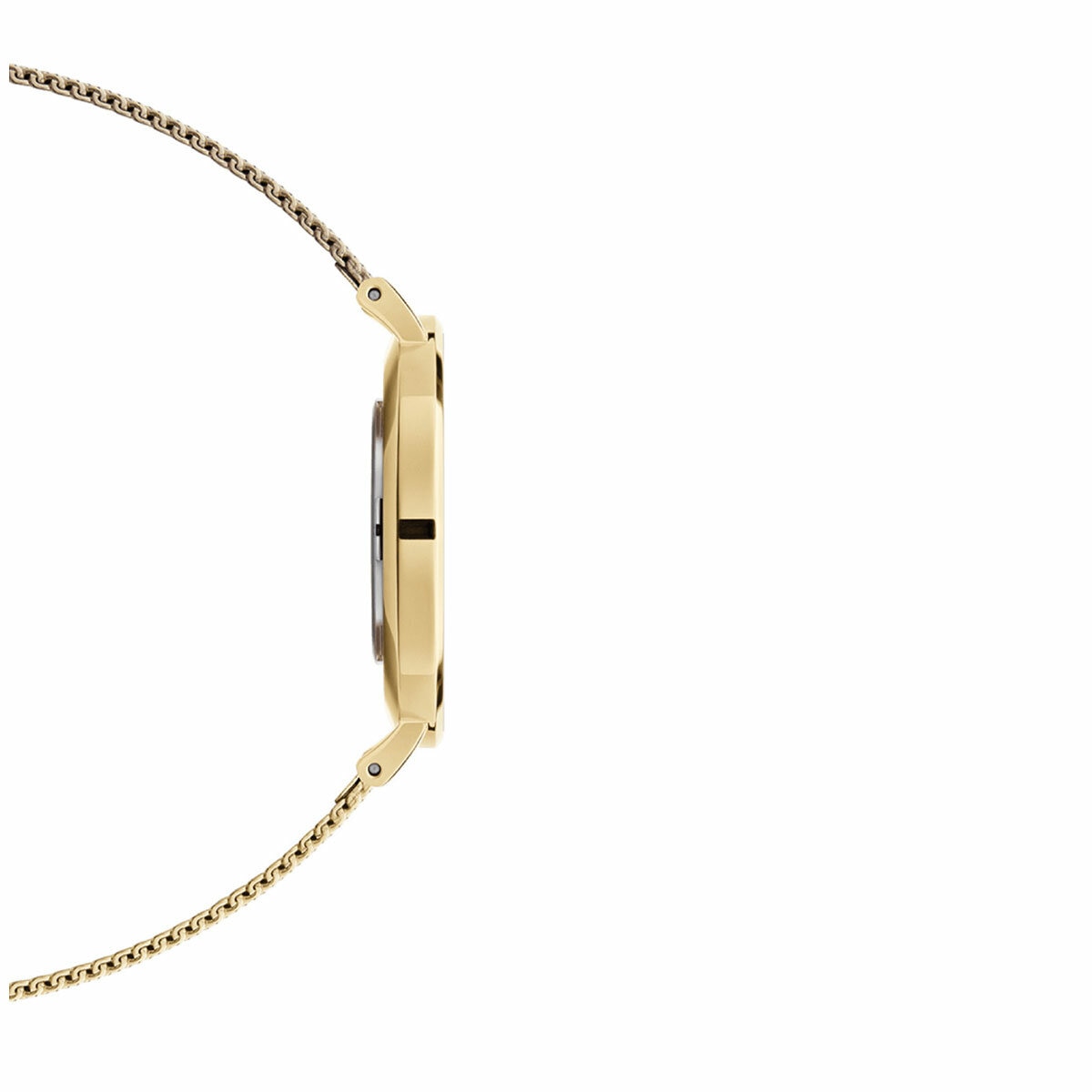 Daniel Wellington Petite Evergold White Dial Gold Mesh Strap Women's Watch DW00100350