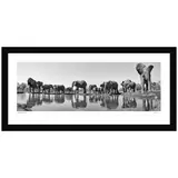 Ken Duncan Imperial Protection Black Framed Print 127.6 x 60.9 cm